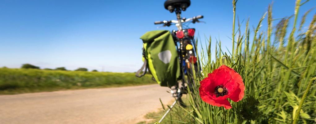 Ein Rad am Wegrand mit Mohnblume; Thomas B. von Pixabay